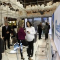 Fitur 2013