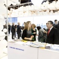 Fitur 2013