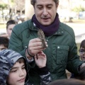 Anillamiento de aves