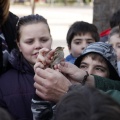 Anillamiento de aves