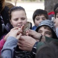 Anillamiento de aves