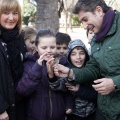 Anillamiento de aves