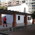 Anillamiento de aves