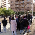 Anillamiento de aves