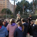 Anillamiento de aves