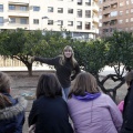 Anillamiento de aves