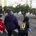 Anillamiento de aves
