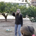 Anillamiento de aves