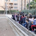 Anillamiento de aves