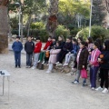 Anillamiento de aves