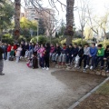 Anillamiento de aves