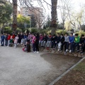 Anillamiento de aves
