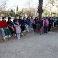Anillamiento de aves
