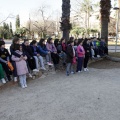 Anillamiento de aves