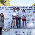 Copa de Europa de Cross por Clubes