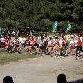 Copa de Europa de Cross por Clubes