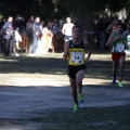 Copa de Europa de Cross por Clubes