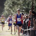 Copa de Europa de Cross por Clubes
