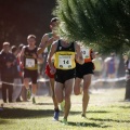 Copa de Europa de Cross por Clubes
