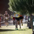Copa de Europa de Cross por Clubes