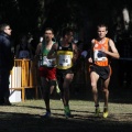 Copa de Europa de Cross por Clubes