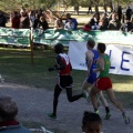 Copa de Europa de Cross por Clubes