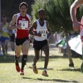Copa de Europa de Cross por Clubes