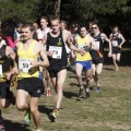 Copa de Europa de Cross por Clubes