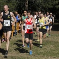 Copa de Europa de Cross por Clubes