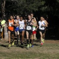 Copa de Europa de Cross por Clubes