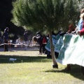 Copa de Europa de Cross por Clubes