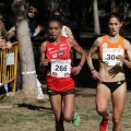 Copa de Europa de Cross por Clubes