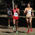 Copa de Europa de Cross por Clubes