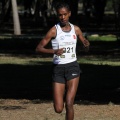 Copa de Europa de Cross por Clubes