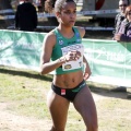Copa de Europa de Cross por Clubes