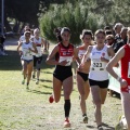 Copa de Europa de Cross por Clubes