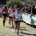 Copa de Europa de Cross por Clubes