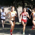 Copa de Europa de Cross por Clubes