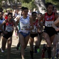 Copa de Europa de Cross por Clubes