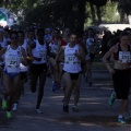 Copa de Europa de Cross por Clubes