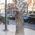 Castellón, 2013 Obras Tram