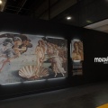 Cevisama 2013