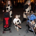 Carnestoltes 2013