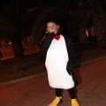 Carnestoltes 2013