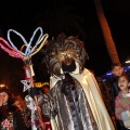 Carnestoltes 2013