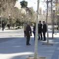 Castellón, Día del arbol