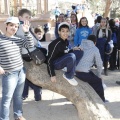 Castellón, Día del arbol