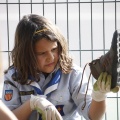 Castellón, 2013