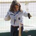 Castellón, 2013