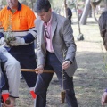 Castellón, 2013